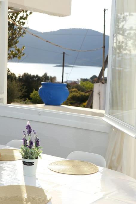 White Villa In Olive Trees And Seaview To Panagia Almiropótamos Dış mekan fotoğraf