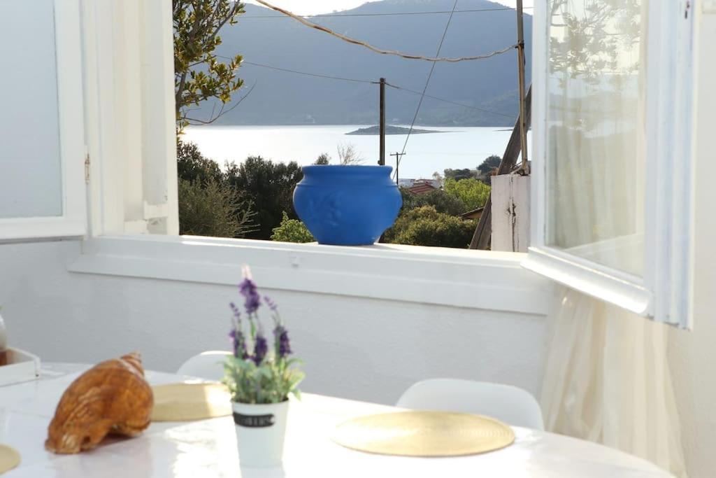 White Villa In Olive Trees And Seaview To Panagia Almiropótamos Dış mekan fotoğraf