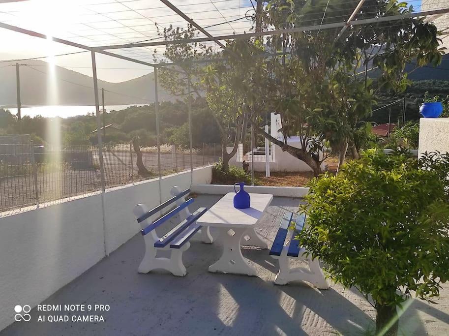White Villa In Olive Trees And Seaview To Panagia Almiropótamos Dış mekan fotoğraf