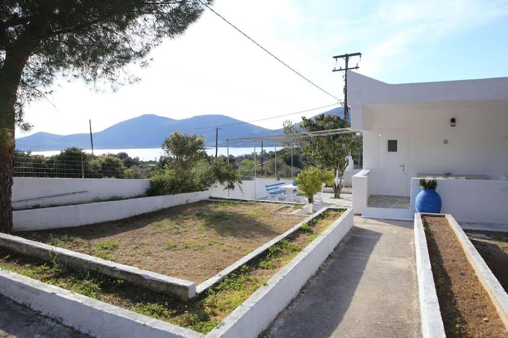 White Villa In Olive Trees And Seaview To Panagia Almiropótamos Dış mekan fotoğraf