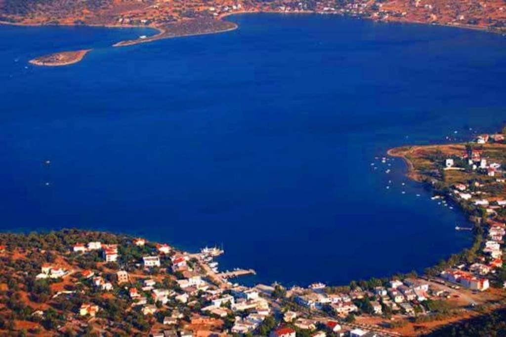White Villa In Olive Trees And Seaview To Panagia Almiropótamos Dış mekan fotoğraf