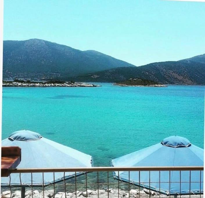 White Villa In Olive Trees And Seaview To Panagia Almiropótamos Dış mekan fotoğraf