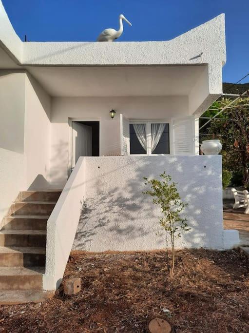 White Villa In Olive Trees And Seaview To Panagia Almiropótamos Dış mekan fotoğraf