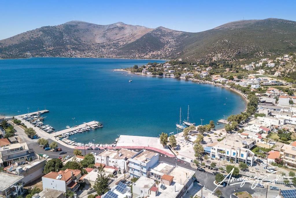 White Villa In Olive Trees And Seaview To Panagia Almiropótamos Dış mekan fotoğraf